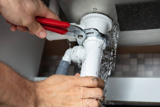 Best Sewage cleanup and water damage restoration  in Elkins, WV