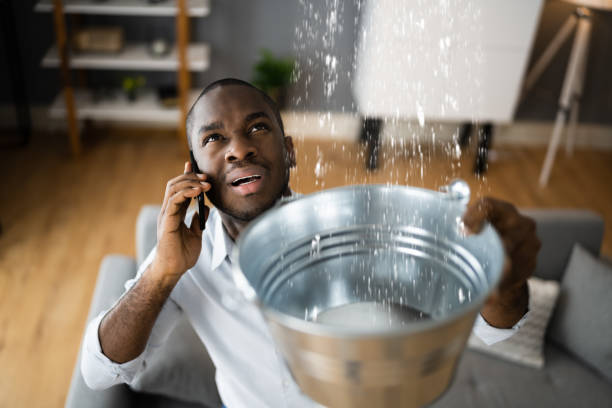 Best Carpet water damage restoration  in Elkins, WV