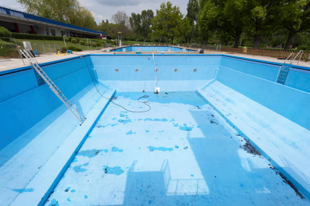 Best Water damage restoration specialists  in Elkins, WV