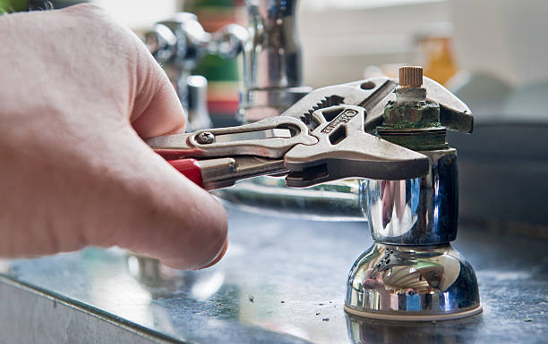 Best Local water damage restoration  in Elkins, WV