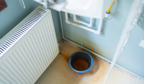 Best Ceiling water damage repair  in Elkins, WV
