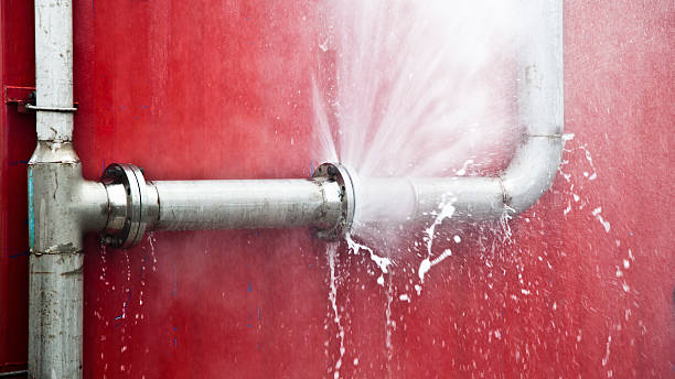 Best Professional water damage repair  in Elkins, WV